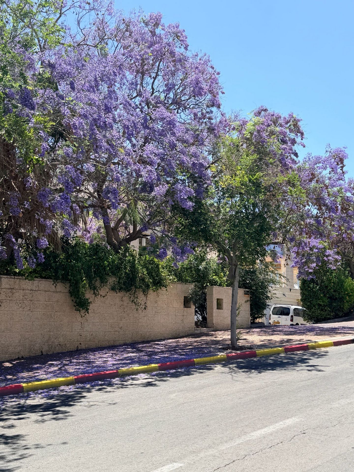 Beautiful nature