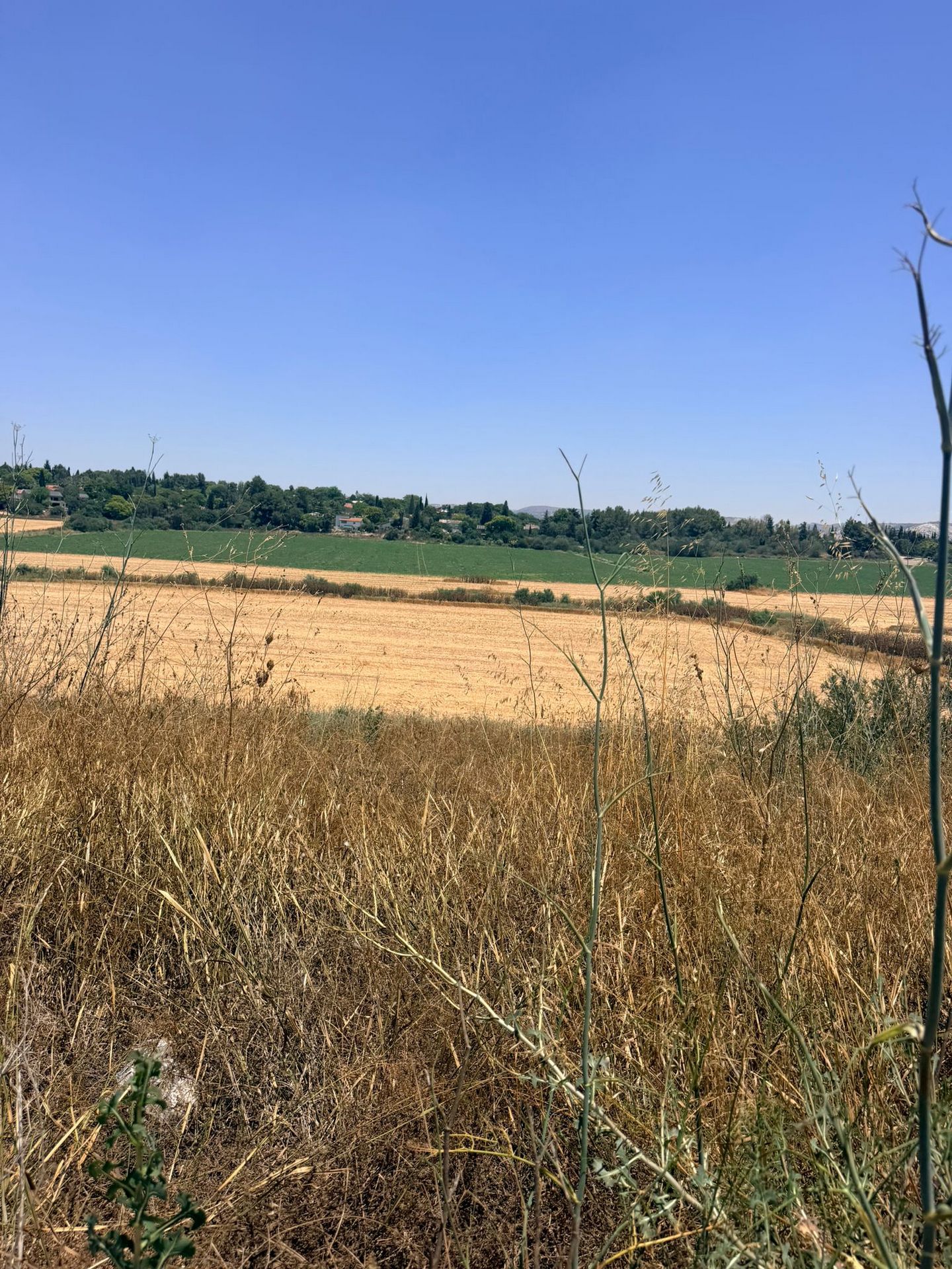 View to Maccabim