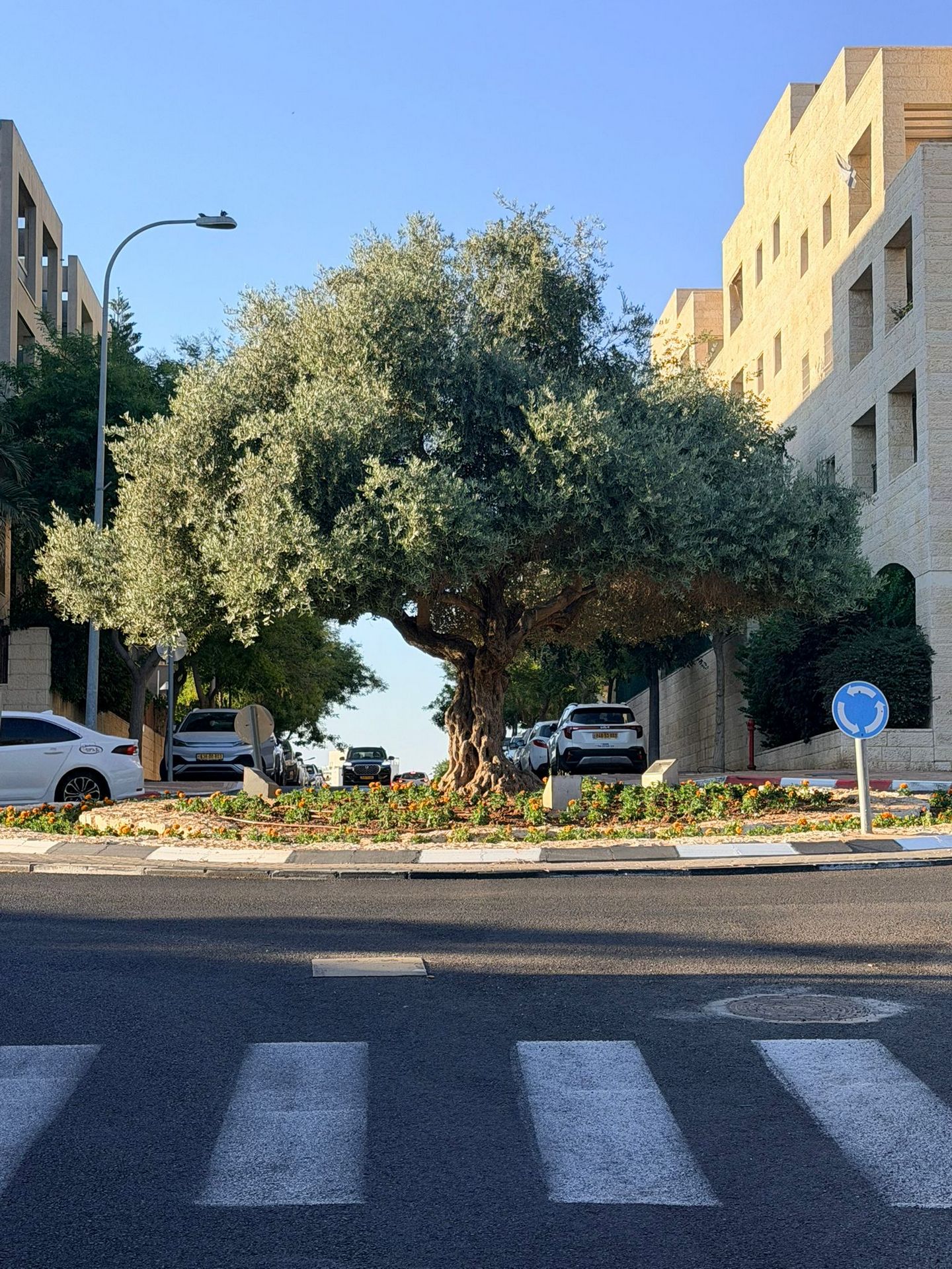 Wonderful roundabouts throughout the city